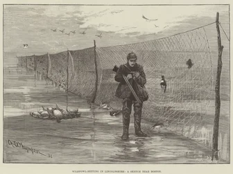 Wildfowl-Netting in Lincolnshire, a Sketch near Boston